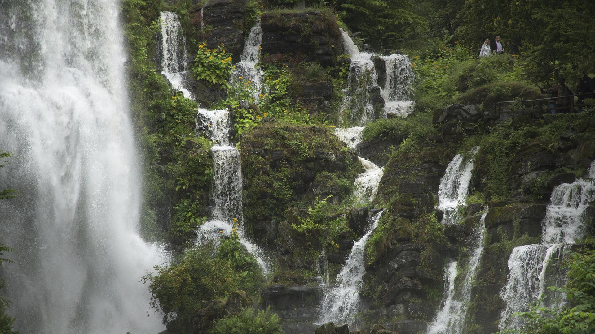 Mehrere kleine Wasserfälle an grünen Felsen