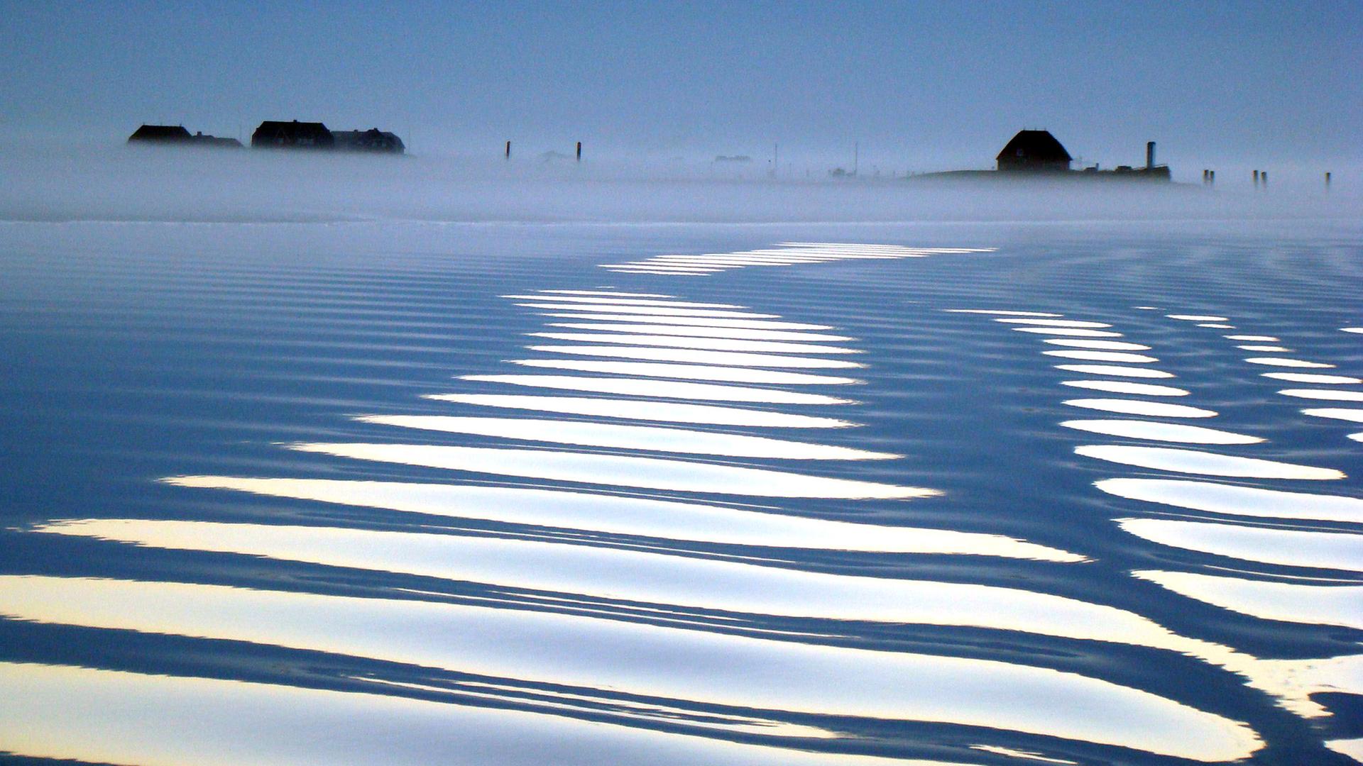 Die Hallig Langeness  im blauen Licht der Abenddämmerung.