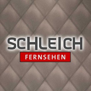 Logo Schleichfernsehen