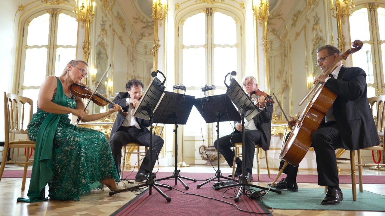Das Bild zeigt ein Ensemble von vier Musikern, die in einem eleganten Raum des Schlosses Esterházy spielen. Die Musiker sitzen in einem Halbkreis, umgeben von opulentem Barock-Interieur. 

1. **Musiker**: 
   - Eine Frau mit langen, glatten Haaren spielt die Geige, gekleidet in ein auffälliges, grünes Kleid mit Funkelnden Akzenten.
   - Neben ihr sitzt ein Mann, ebenfalls mit einer Geige, der in einem schwarzen Anzug gekleidet ist. 
   - Ein weiterer Musiker, der Cello spielt, sitzt rechts und trägt ebenfalls einen schwarzen Anzug.
   - Der vierte Musiker ist ein Mann, der an einem Notenständer arbeitet und ebenfalls in formeller Kleidung gekleidet ist.

2. **Raum**: Der Raum ist hell erleuchtet mit großen Fenstern, durch die Tageslicht strömt. Die Wände sind verziert mit goldenen Ornamenten, und der Boden besteht aus einem dekorativen Parkett.

3. **Ausstattung**: Es sind mehrere Notenständer aufgestellt, die mit Notenblättern versehen sind. Der Boden ist teils mit einem roten Teppich und teils mit Holzfußboden bedeckt.

Das Bild vermittelt eine Atmosphäre der Eleganz und des kulturellen Erbes, passend zum historischen Kontext des Schlosses Esterházy.