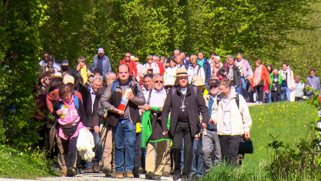Pilgergruppe mit Bischof Rudolf Voderholzer wandert auf einem sonnigen Waldweg durch grüne Natur.