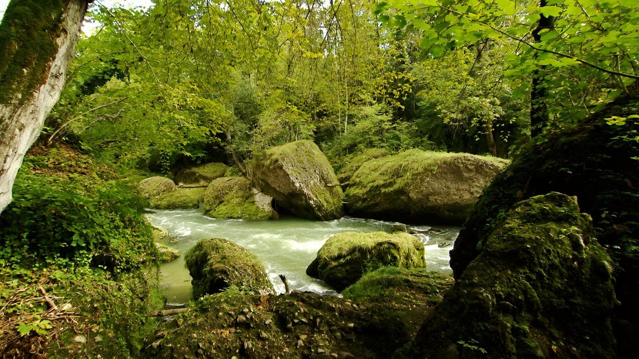 Fluss in einer Schlucht mit grünlich schimmerndem Wasser, umgeben von moosbewachsenen Felsen und dichtem Laubwald.