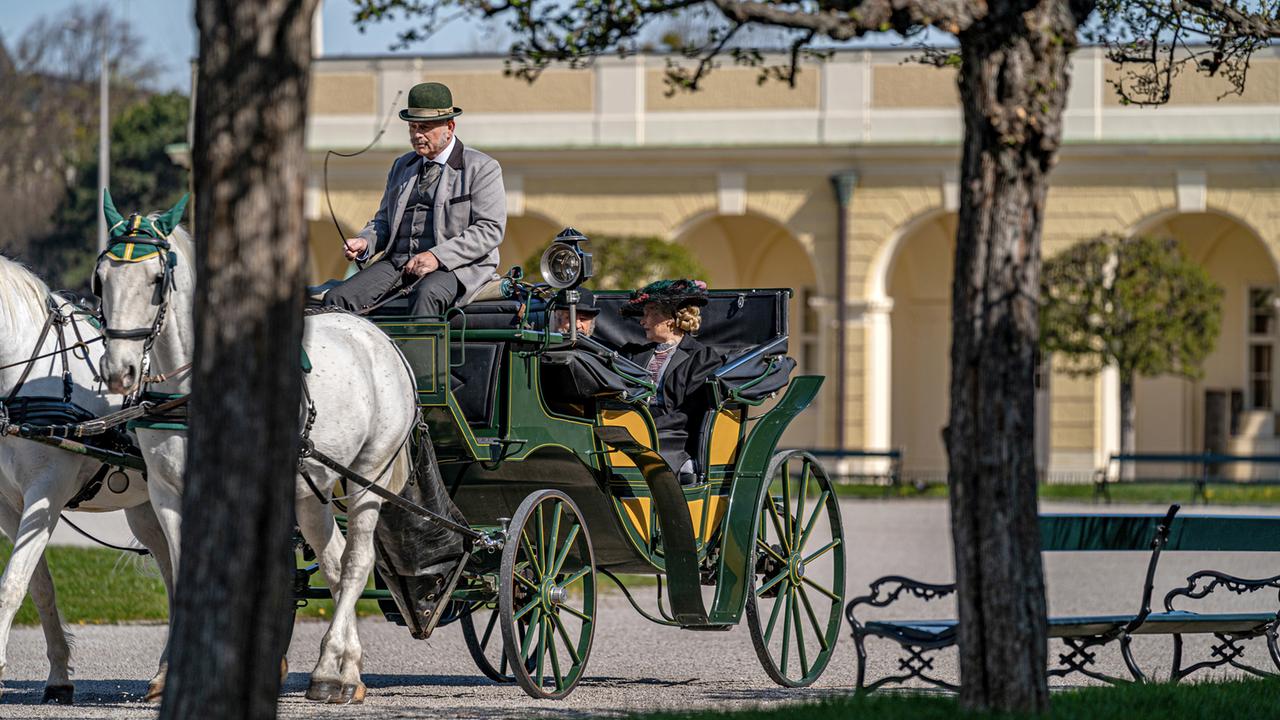 Ein sonniger Vormittag eignet sich perfekt für einen gemütlichen Ausflug in der Kutsche. 