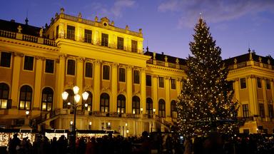 Ein festlich beleuchtetes Gebäude im Abendlicht mit geschmückter Weihnachtstanne im Vordergrund.