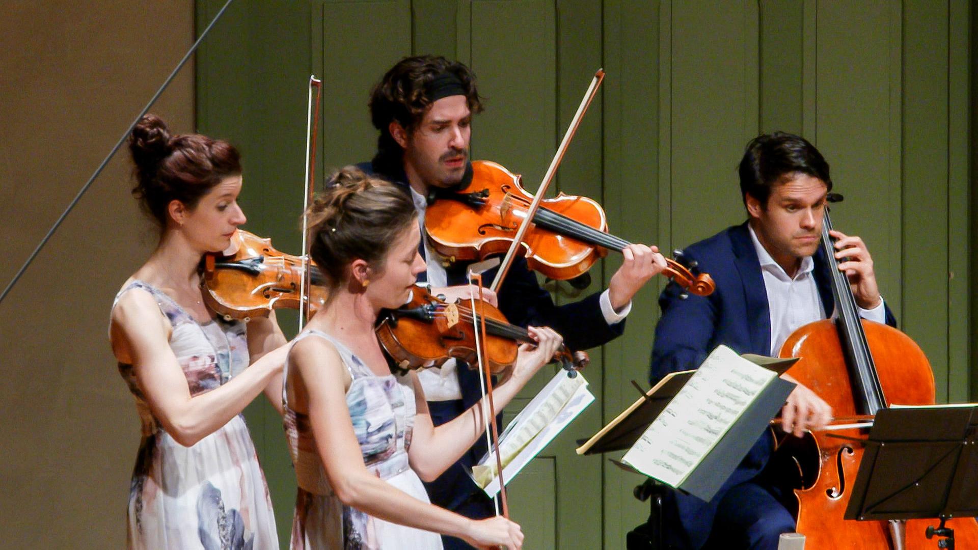 Zwei Frauen und zwei Männer mit Saiteninstrumenten