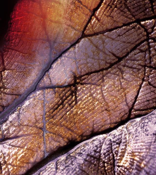 Handfläche mit Linien und Farben