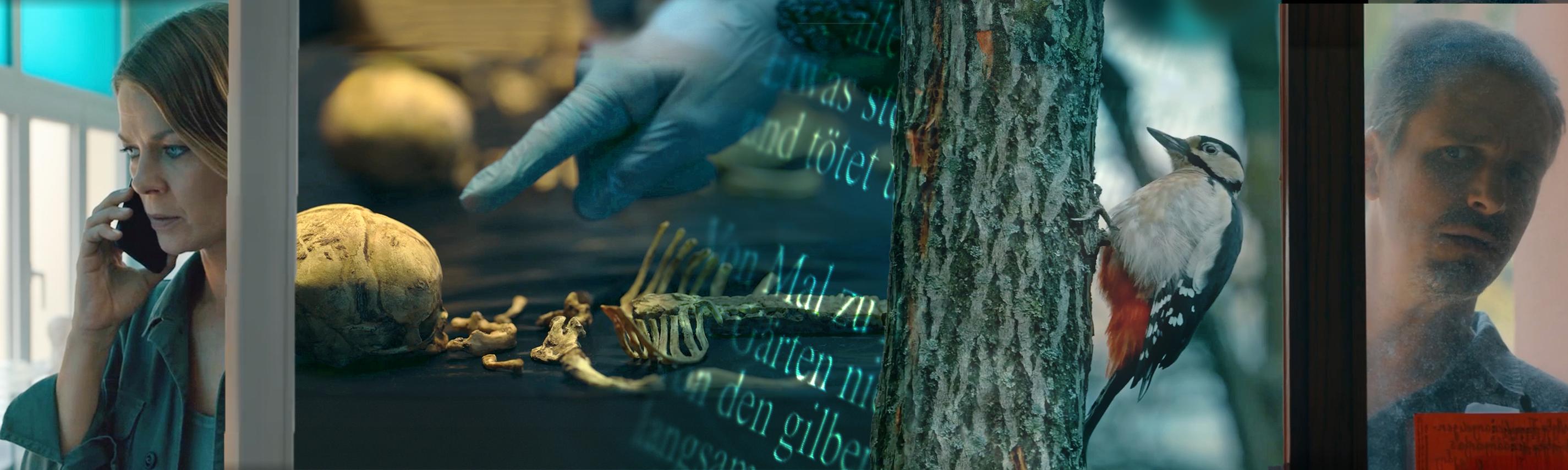 Schwarzwaldkrimi Hintergrund Sendebereich