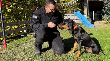 Laufhund Nacho mit Herrchen Pascal Buff