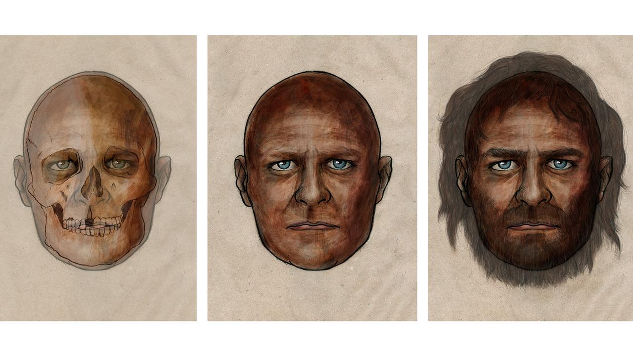 Zeichnungen des Kopfes des Frühmenschen im Verlauf seiner Entwicklungsgeschichte. 