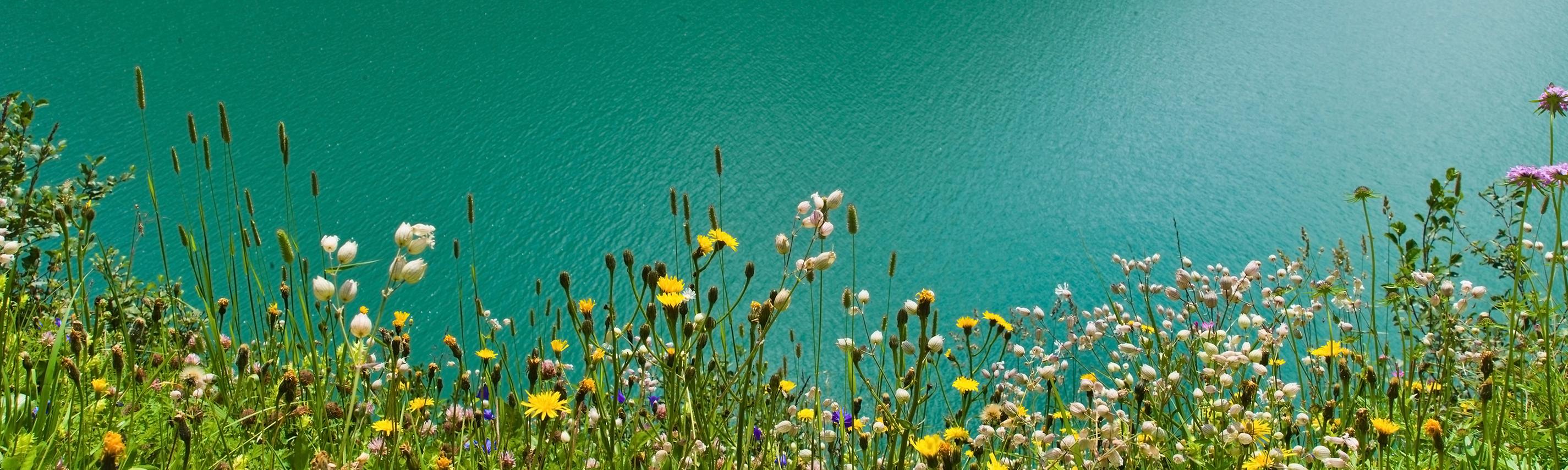 Hintergrund SB Seenland Österreich