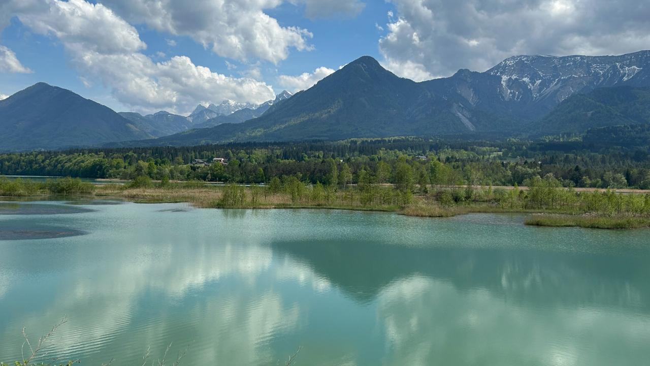 Zikkurat Selkach-Ludmannsdorf. 
