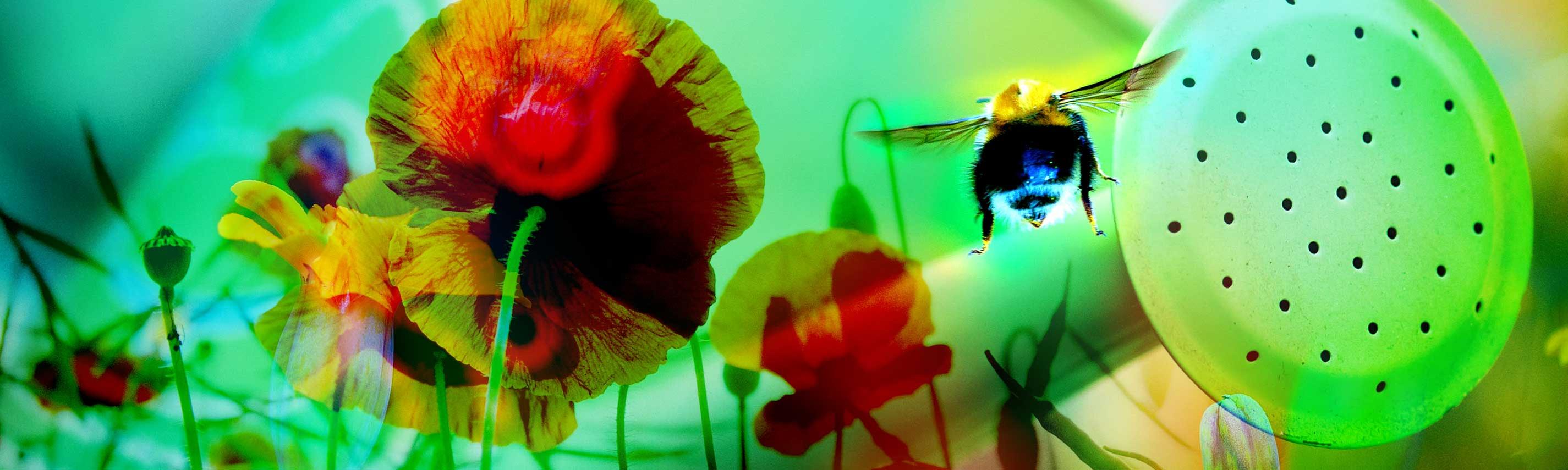 Sendebereich-querbeet