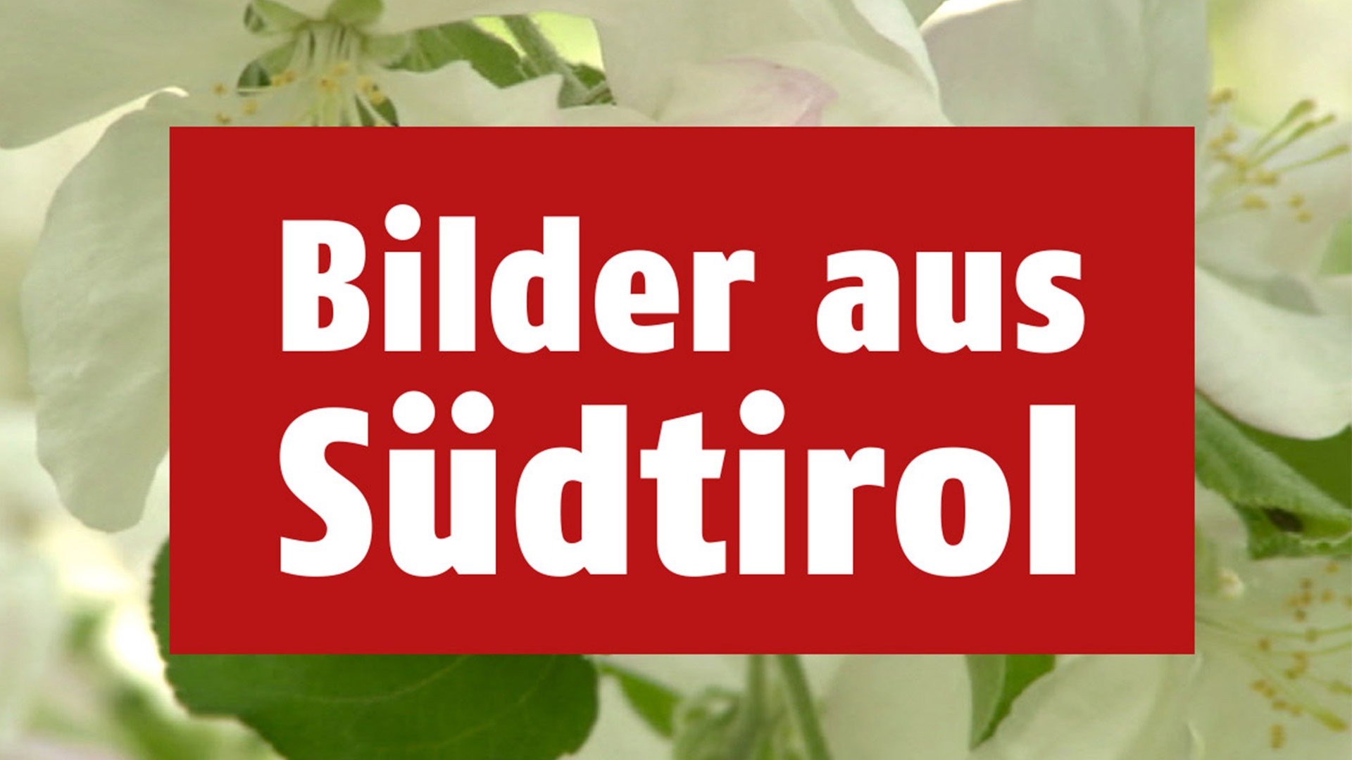 Bilder aus Südtirol