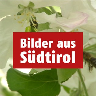 Bilder aus Südtirol