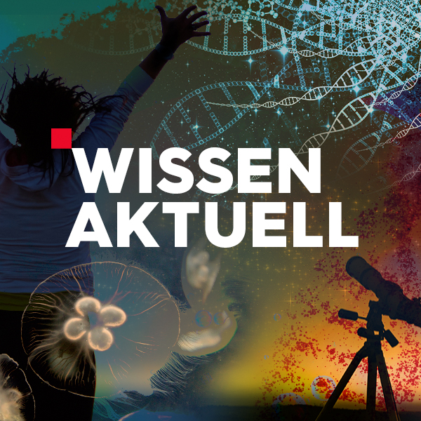 wissen aktuell