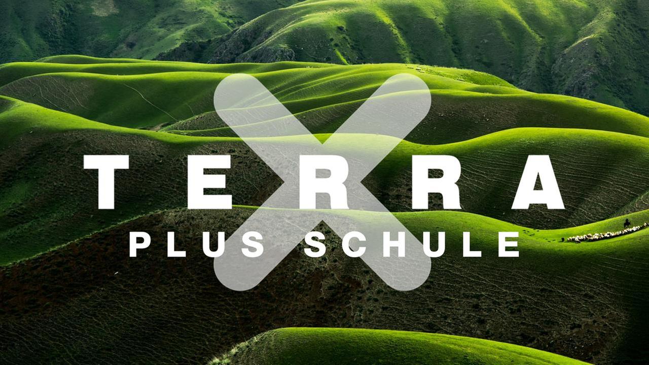 Terra X plus Schule