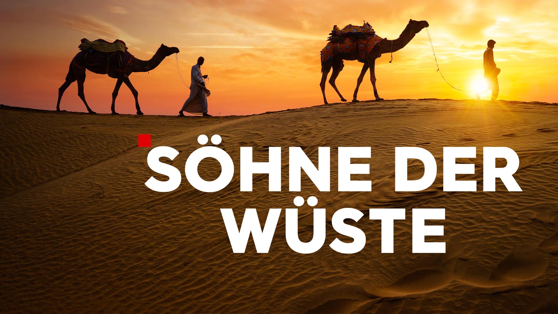 Söhne der Wüste Sendetypical