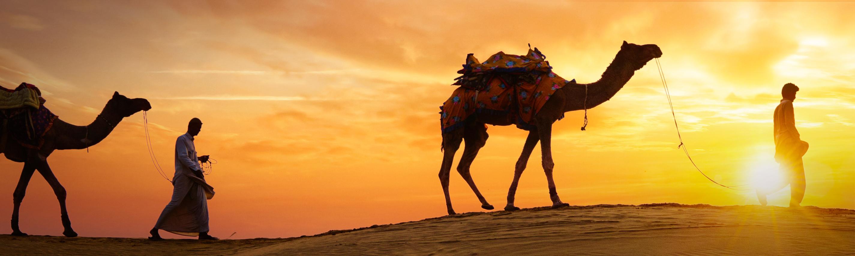 Söhne der Wüste Hintergrund