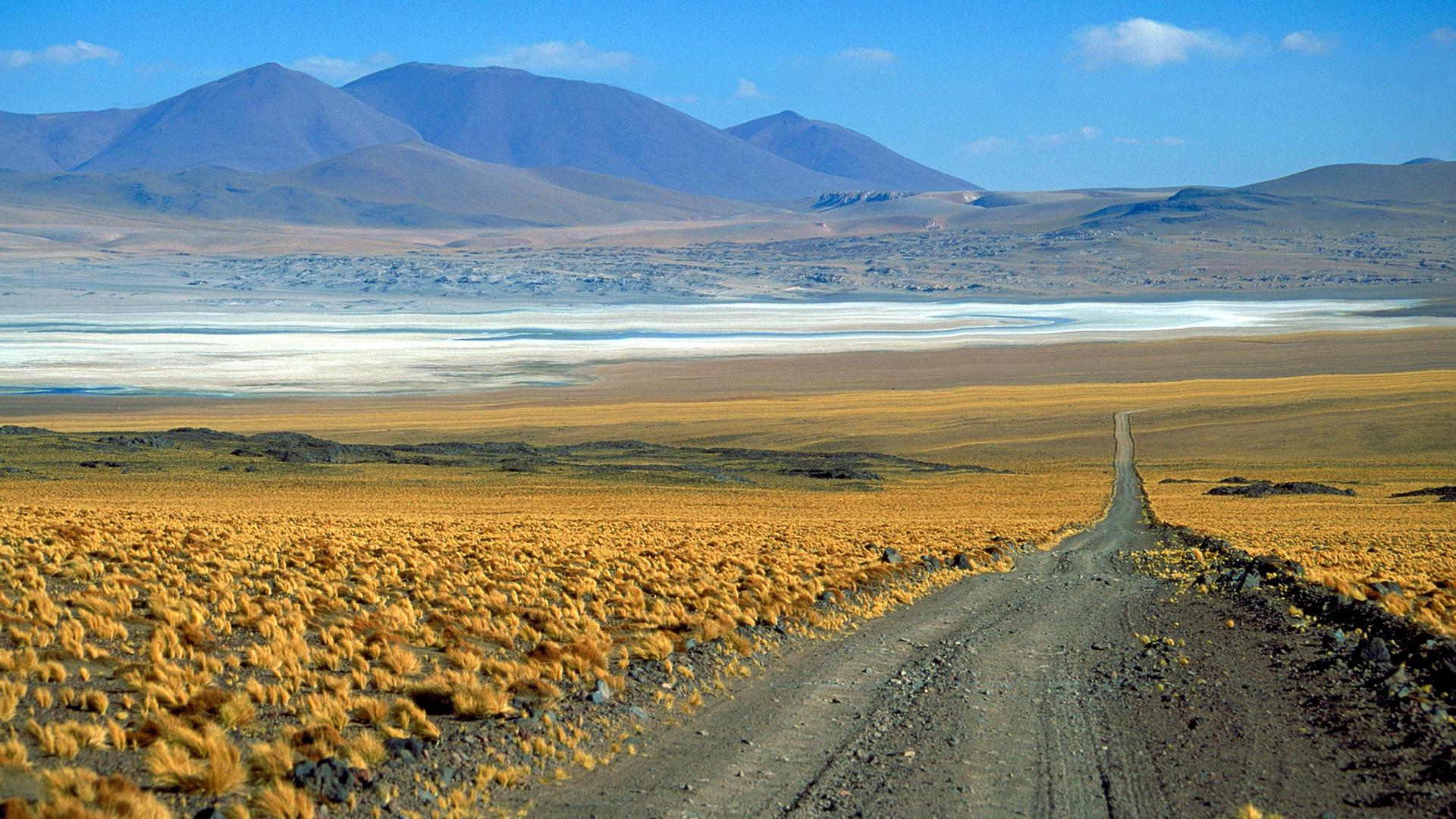 eine strasse in der weite