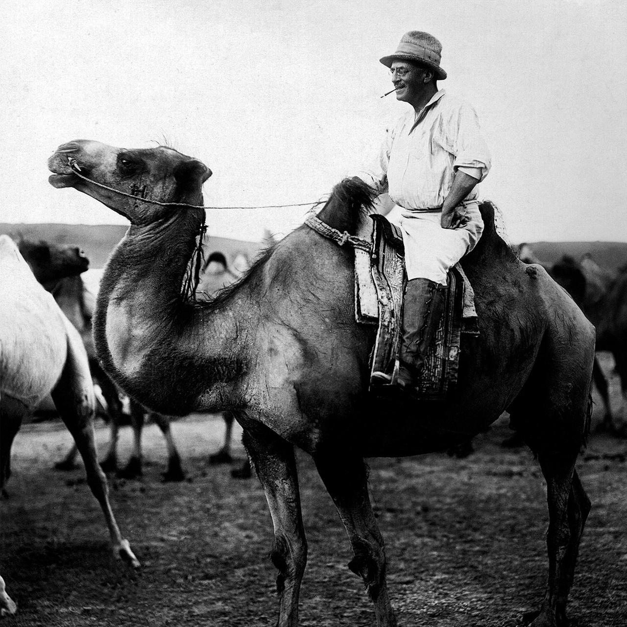 ein mann reitet auf einen kamel