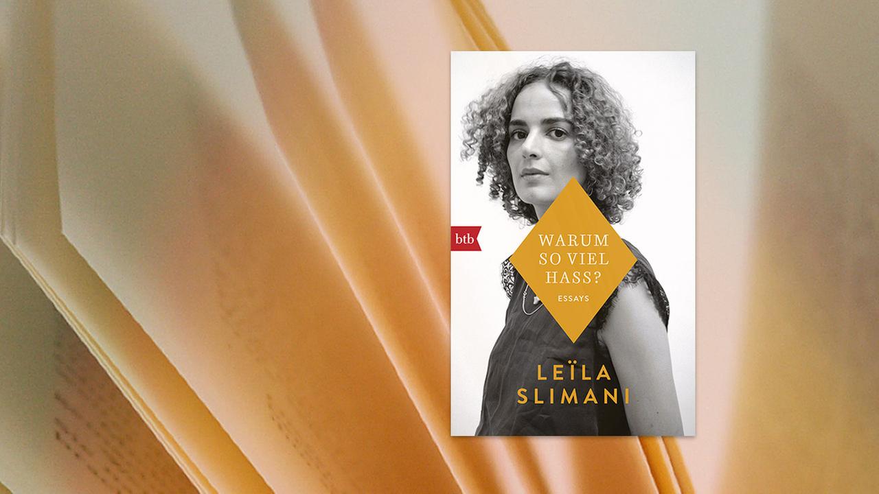 Buchcover "Warum so viel Hass"