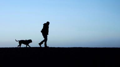 Zu sehen sind vor einem blauen Horizont die dunklen Umrisse eines laufenden Mannes und seines Hundes.