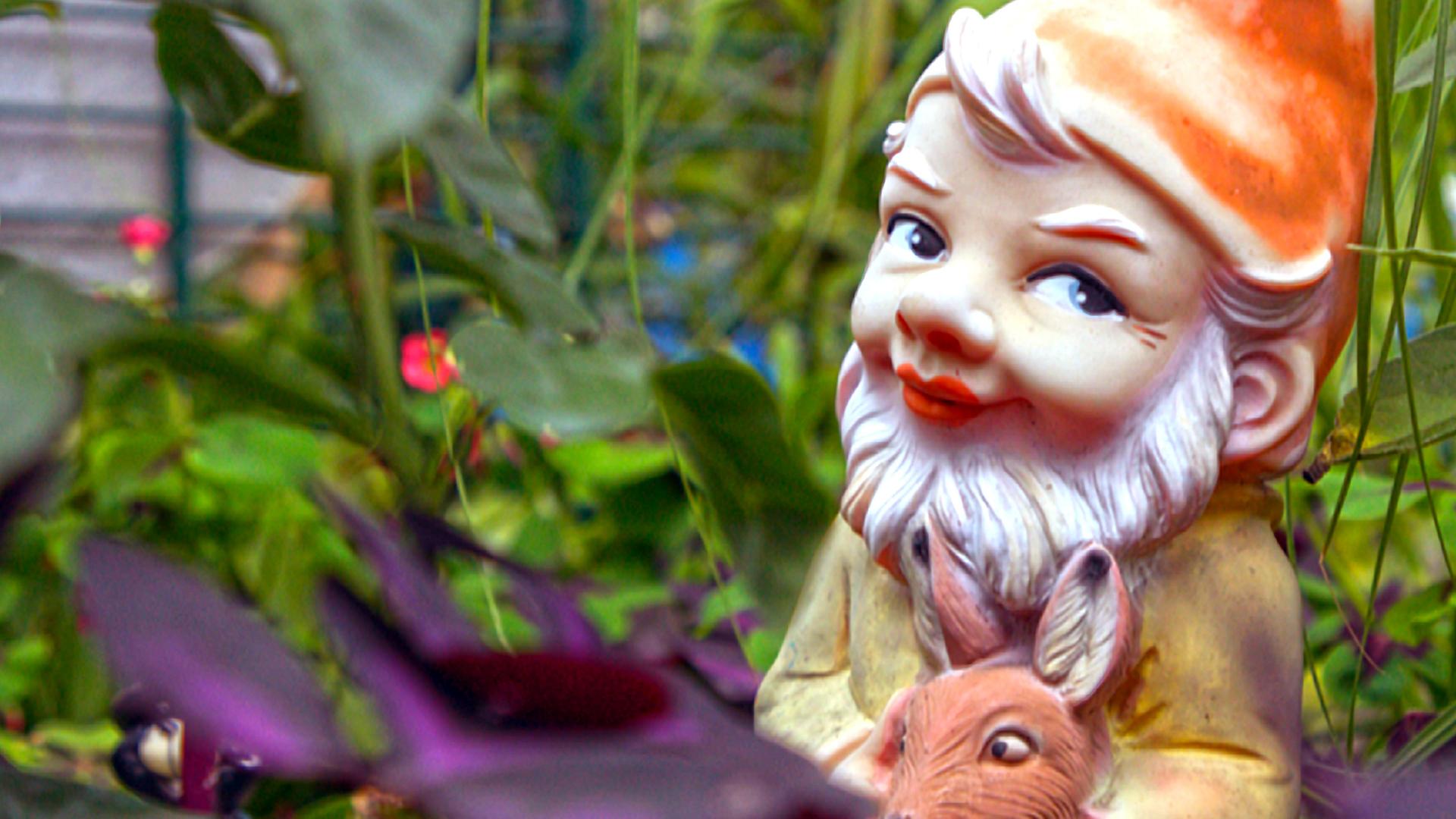 Nahaufnahme von einem Gartenzwerg aus Kunststoff.