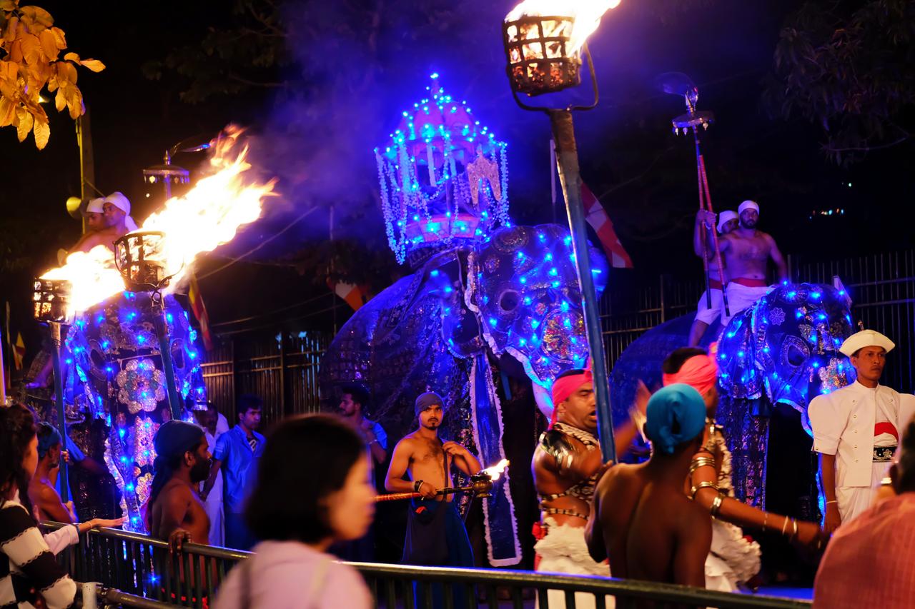 Heilige Reliquie bei der Prozession, Esala Perahera in Kandy