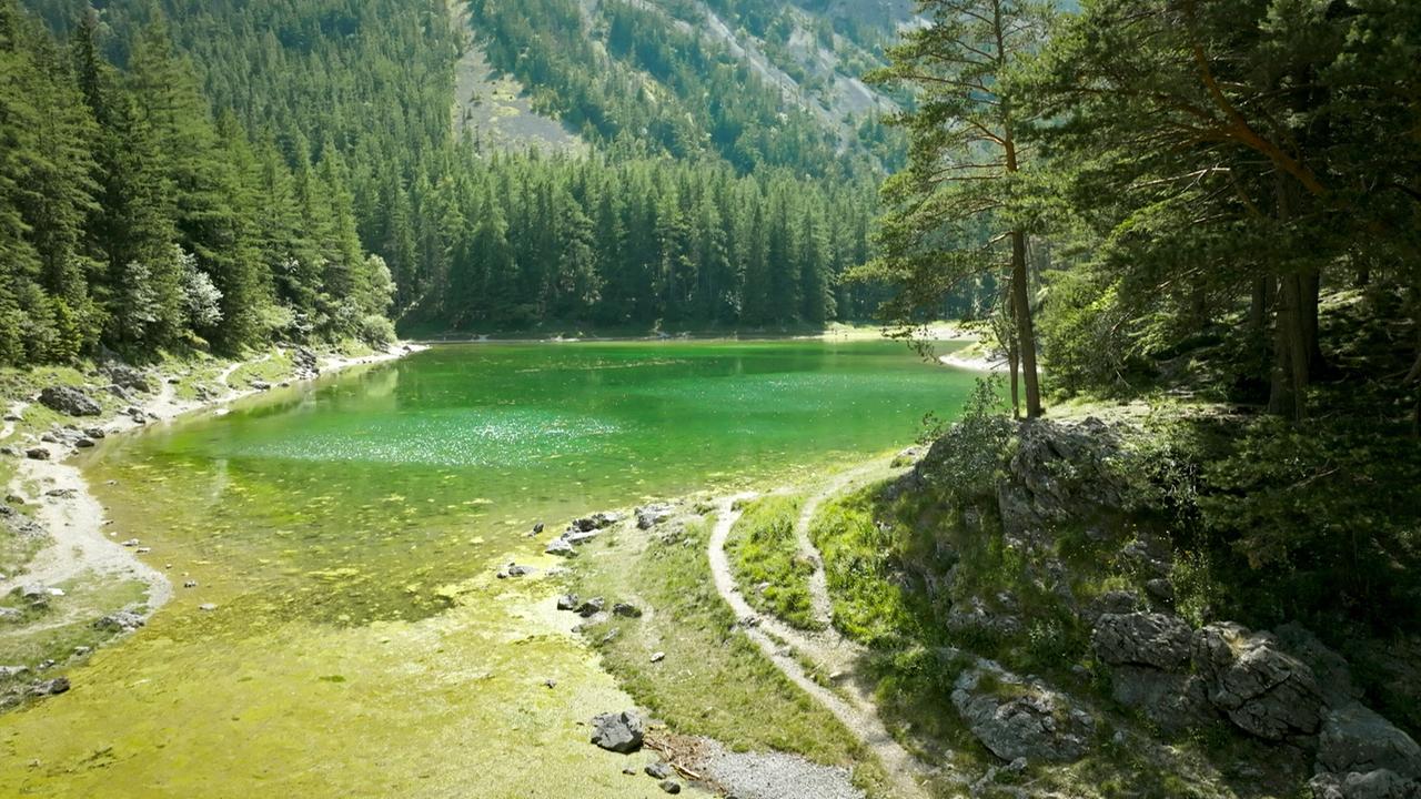 Das Bild zeigt den Grünen See in der Steiermark, Österreich. Im Vordergrund ist ein ruhiger, klarer See mit grünem Wasser zu sehen, das von der Sonneneinstrahlung funkelt. Am Ufer wachsen grüne Pflanzen und einige Steine sind sichtbar. Es gibt einen schmalen, gewundenen Pfad, der entlang des Ufers verläuft und in die bewaldete Umgebung führt.  Rechts und links des Sees sind hohe Nadelbäume, die eine dichte Waldlandschaft bilden. Im Hintergrund erheben sich sanfte Berge, die teilweise von Bäumen bewachsen sind. Die gesamte Landschaft vermittelt ein Gefühl von Ruhe und natürlicher Schönheit.