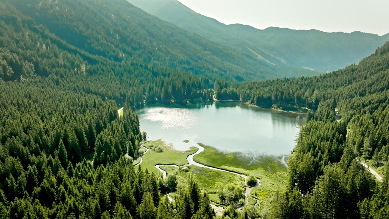 Das Bild zeigt eine natürliche Landschaft in der Steiermark, Österreich. Im Vordergrund ist ein kleiner, ruhiger Gebirgssee, der von dichtem, üppigem Nadelwald umgeben ist. Der See spiegelt die Umgebung wider und strahlt eine friedliche Atmosphäre aus. Links und rechts des Wassers sind grüne Wiesen und kleine Wasserläufe sichtbar, die sich durch die Landschaft schlängeln. Im Hintergrund erheben sich sanfte Hügel und Berge, die teilweise mit Bäumen bewachsen sind. Die Lichtverhältnisse sind hell, was einen klaren Himmel und eine friedliche, einladende Umgebung vermittelt.