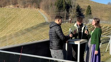 Das Bild zeigt eine ländliche Weinregion mit sanften Hügeln, die mit Weinstöcken bepflanzt sind. Im Vordergrund stehen drei Personen um einen kleinen Tisch. Zwei Männer und eine Frau sind zu sehen. Der erste Mann trägt eine schwarze, gepolsterte Jacke und schaut auf den Tisch, während er mit der linken Hand eine Flasche in der Hand hält. Der zweite Mann hat lockige Haare, trägt eine grüne Jacke und hält ein Weinglas vor sich, während er die Frau ansieht. Die Frau hat lange Haare, trägt eine grüne Jacke und einen langen, grauen Rock mit lila Elementen. Auch sie hält ein Weinglas. Im Hintergrund erkennt man mehrere Reihen von Weinstöcken, die in die Landschaft eingebettet sind. Der Himmel ist klar und die Landschaft wirkt frühlingshaft.