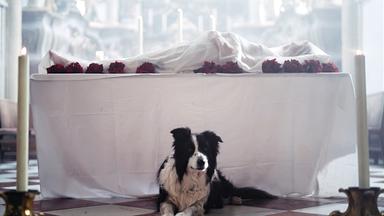 Das Bild zeigt eine dramatische Szene in einer Kirche. Im Vordergrund liegt ein schwarzer und weißer Hund, der entspannt sitzt. Vor dem Hund befindet sich ein Tisch, der mit einem weißen Tuch bedeckt ist. Auf dem Tisch liegt eine mit einem Tuch verhüllte Figur, die von roten Rosen umgeben ist. Im Hintergrund sind mehrere Kerzen zu sehen, die das schwache Licht im Raum verstärken und eine melancholische Stimmung erzeugen. Die Kirche hat einen historischen Charakter, erkennbar an den dekorativen Elementen im Hintergrund, die verschwommen bleiben. Die gesamte Szenerie vermittelt eine Atmosphäre von Trauer und Mystik, passend zum Thema der Sage, die von Liebe, Eifersucht und übernatürlichen Ereignissen handelt.