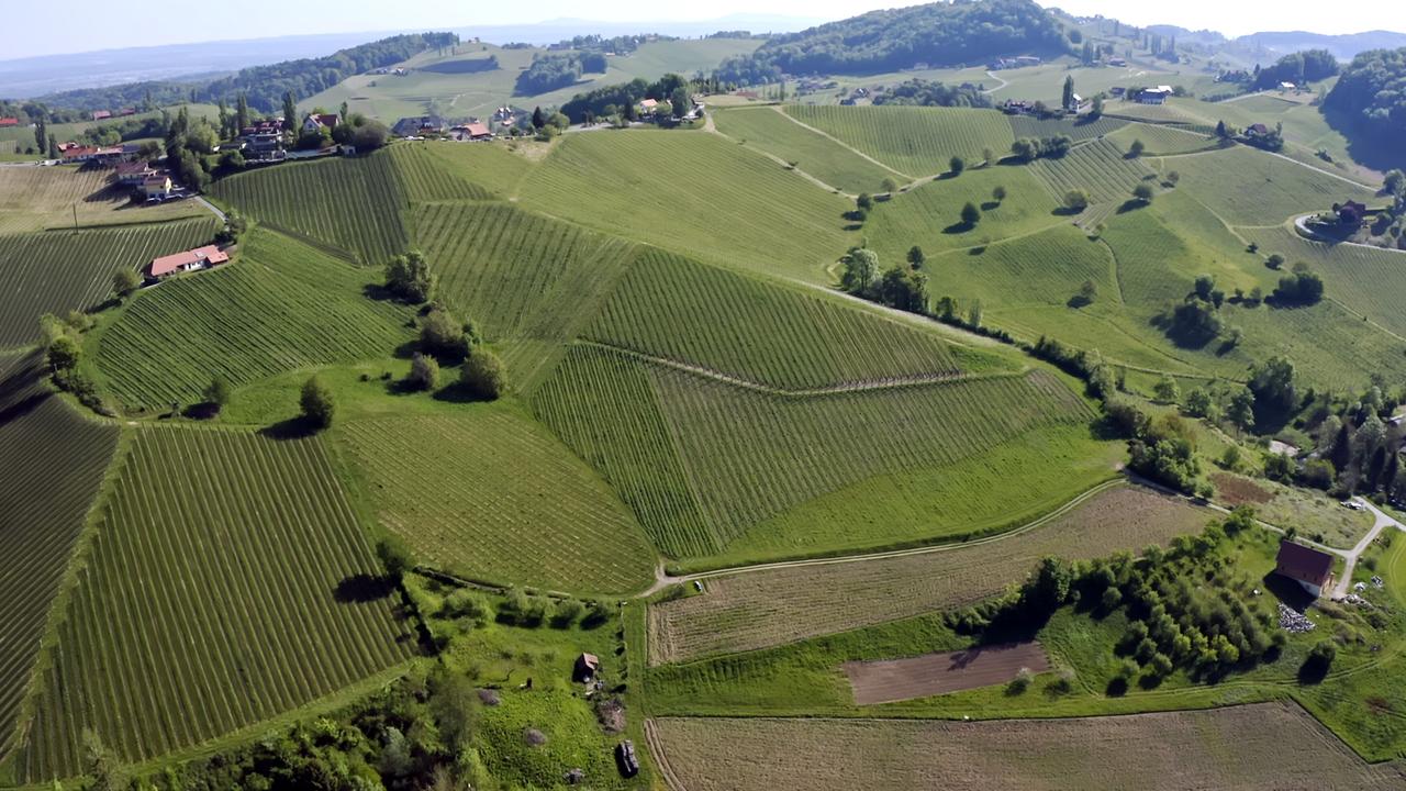 Luftaufnahme einer hügeligen Landschaft mit Weinbergen und verstreuten Bauernhöfen in der Südsteiermark bei sonnigem Wetter.