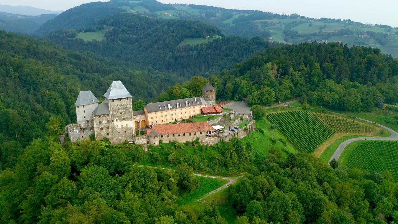 Das Bild zeigt die Burg Deutschlandsberg in der Weststeiermark, umgeben von dichten Wäldern und sanften Hügeln. Die Burg hat mehrere Türme mit spitz zulaufenden Dächern, die mit verzinktem Metall bedeckt sind. Der Hauptteil der Burg ist aus grauem Stein gebaut und weist Fenster mit auffälligen, kreisförmigen Steinrahmen auf. Im Vordergrund ist ein längliches Gebäude mit rotem Ziegeldach zu sehen, das sich an die Burg anschließt.  Um die Burg herum erstreckt sich eine grüne Landschaft mit Weinbergen, die in gleichmäßigen Reihen angeordnet sind und sich sanft den Hügel hinunterziehen. Ein schmaler Weg führt an der Burg vorbei. Die gesamte Szenerie wird von bergigen Hintergründen umrahmt, die in verschiedenen Grüntönen schimmern und eine ruhige, natürliche Atmosphäre vermitteln.