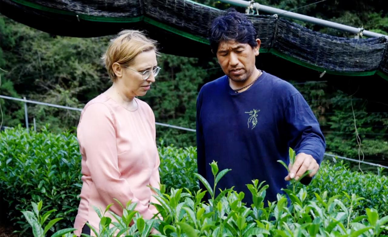 Ein Mann zeigt einer Frau, wie Matcha wächst