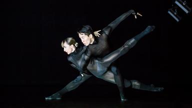 "Gauthier Dance - SWAN LAKES": Zwei schwarz gekleidete Tänzer (eine Frau und ein Mann) vor einem schwarzen Hintergrund. Sie tanzen eng umschlungen. Er steht in der Hocke, das rechte Bein nach vorne gestreckt, das linke angewinkelt, zwischen den Beinen der Tänzerin. Ihr rechtes Bein ist nach oben gestreckt und bildet eine Linie mit seinem rechten Bein.