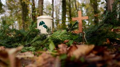 Eine Urne und ein Holzkreuz stehen in einem Friedwald.