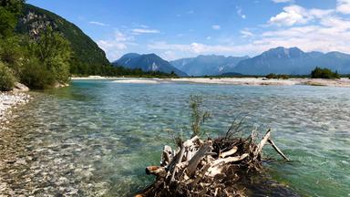 Der Tagliamento zählt zu den artenreichsten Ökosystemen Europas. Naturbelassen und wild bahnt er sich durch die Karnischen Alpen über die friulanische Tiefebene bis in die Adria. 