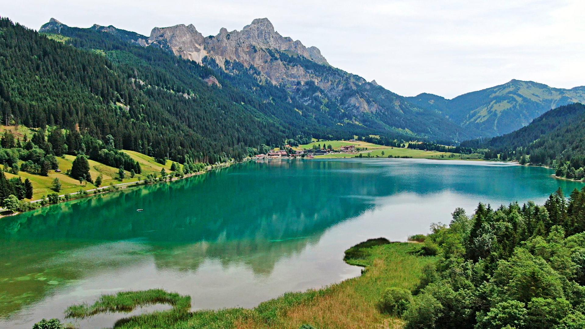 Ansicht eines grünen Bergsees
