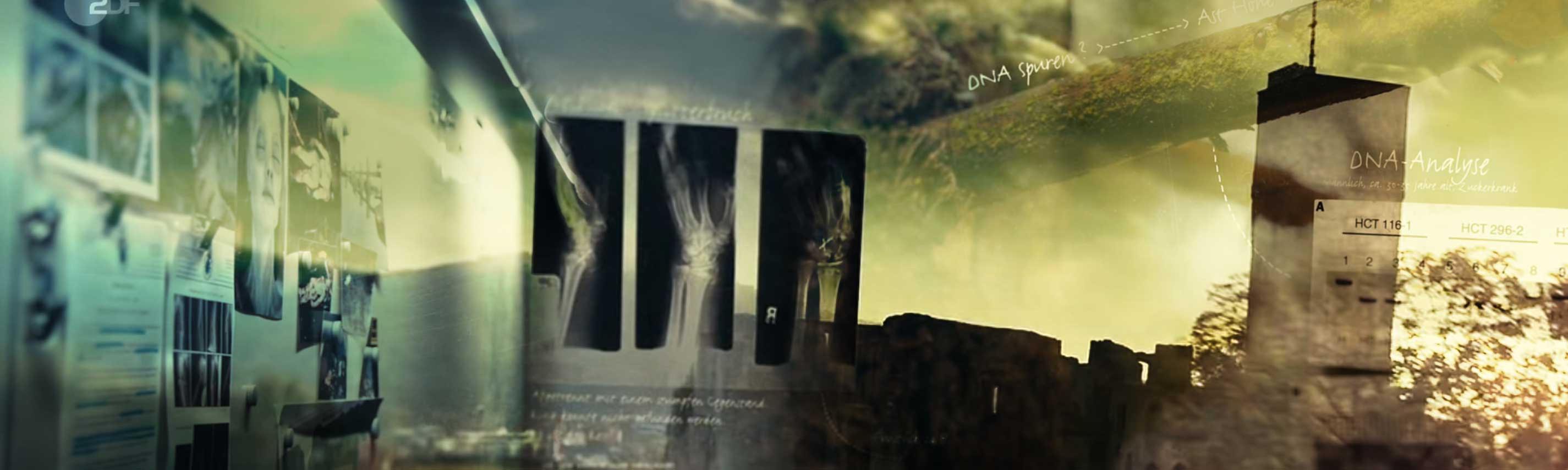 sendebereich hintergrund taunuskrimi