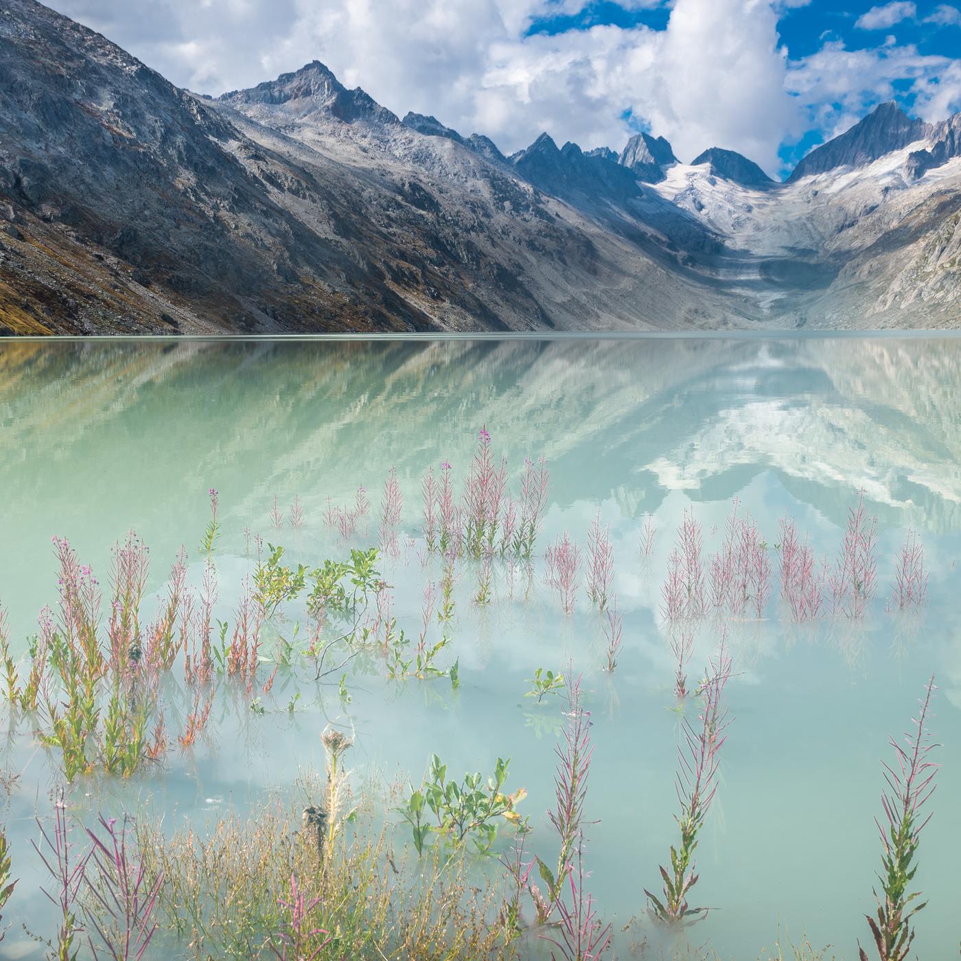 Blick auf den Oberaargletscher, Schweiz.