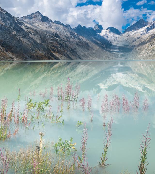 Blick auf den Oberaargletscher, Schweiz.