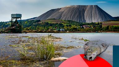 obere Bildhälfte: ein Kaliberg in Thüringen; untere Bildhälfte: ein verschmutztes Gewässer, 2 tote Fische