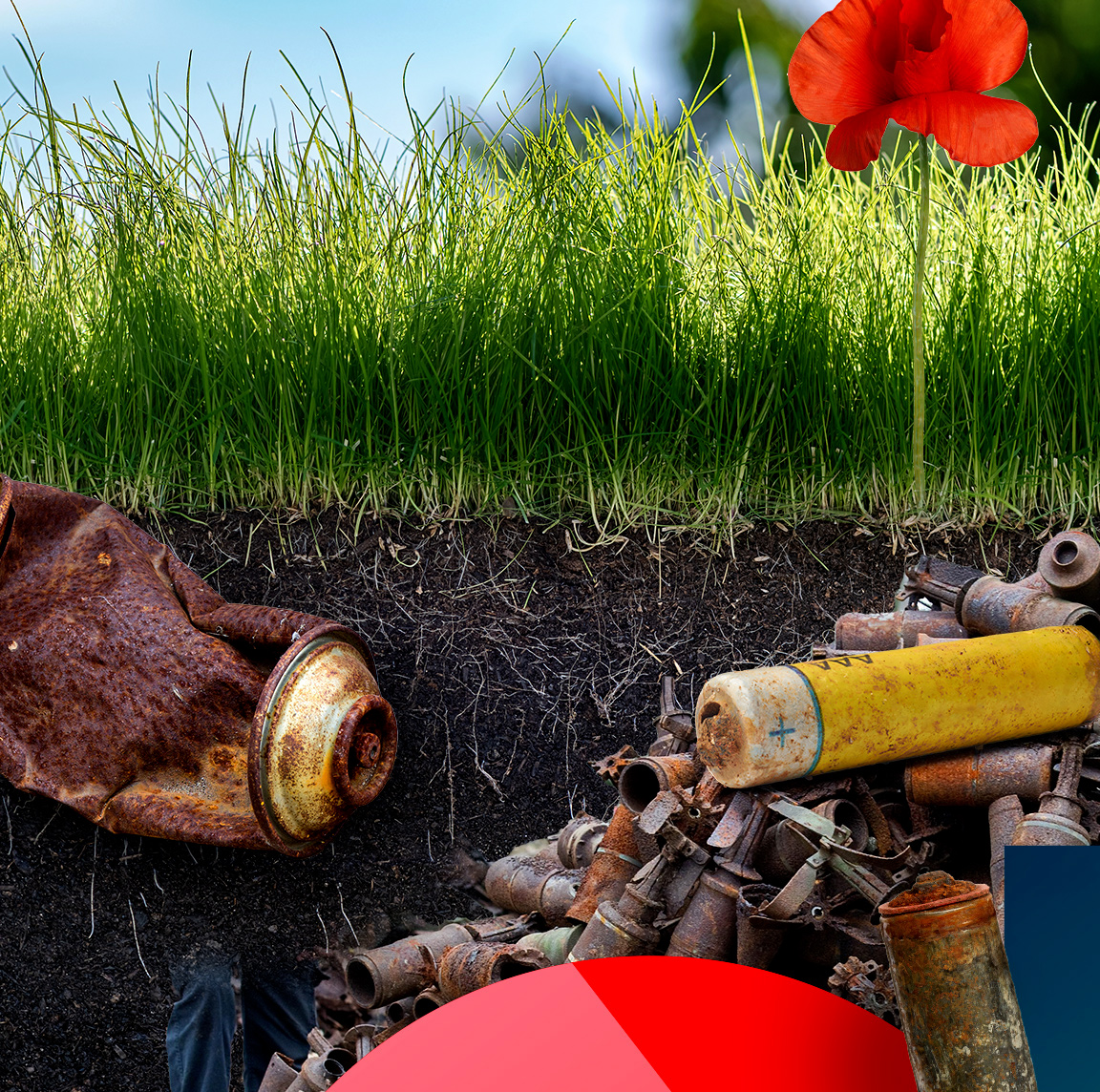 obere Bildhälfte eine grüne Wiese mit einer roten Mohnblume, in der unteren Bildhälfte Erdreich mit Wurzeln, eine Anhäufung verrosteter Munition, eine rostige Batterie