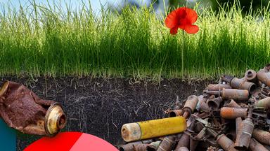 obere Bildhälfte eine grüne Wiese mit einer roten Mohnblume, in der unteren Bildhälfte Erdreich mit Wurzeln, eine Anhäufung verrosteter Munition, eine rostige Batterie