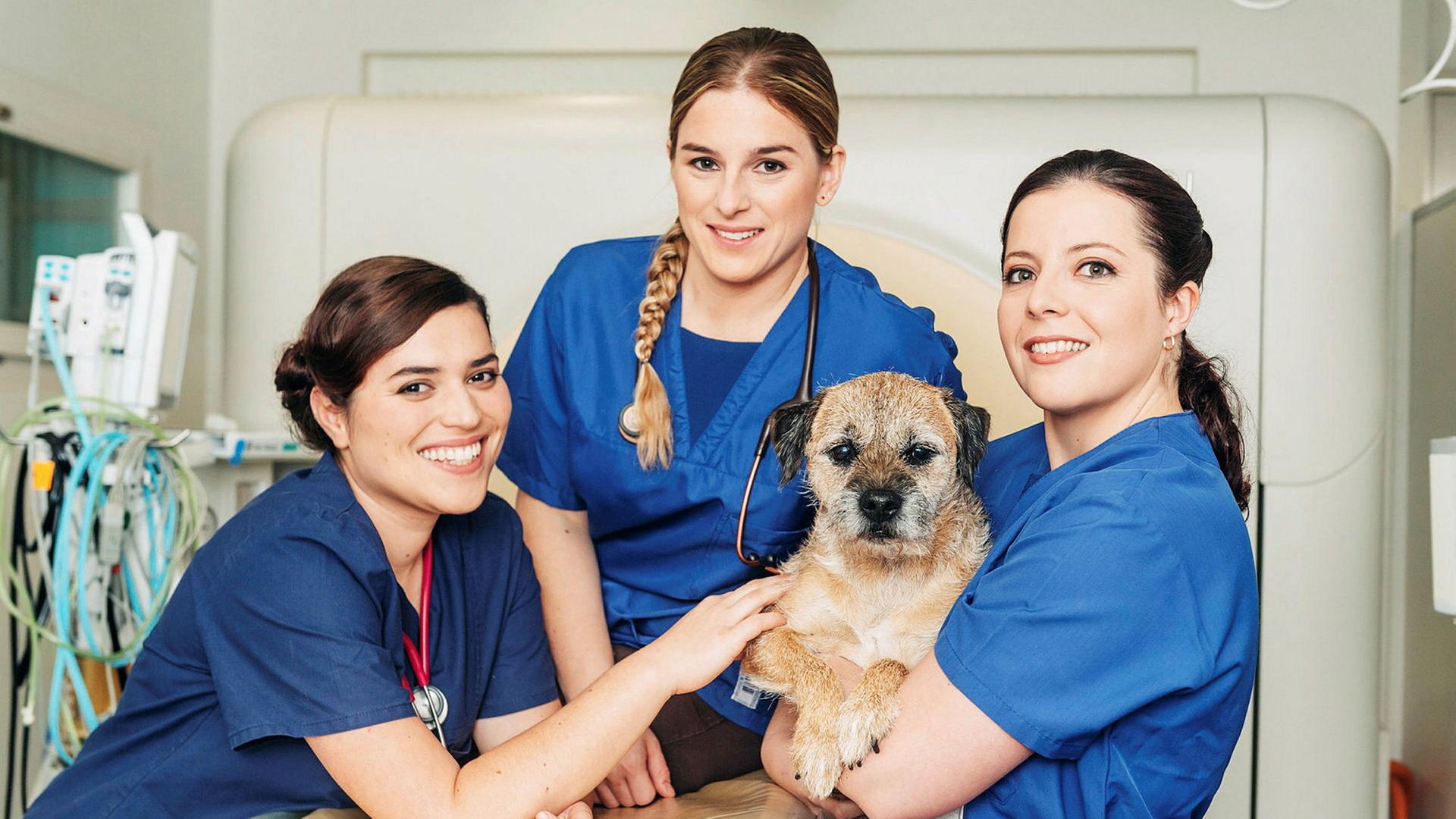Eléonore, Florence und Alix kommen frisch von der Uni. Jetzt müssen sie sich den vielen Herausforderungen im Alltag als Tierärztinnen stellen.