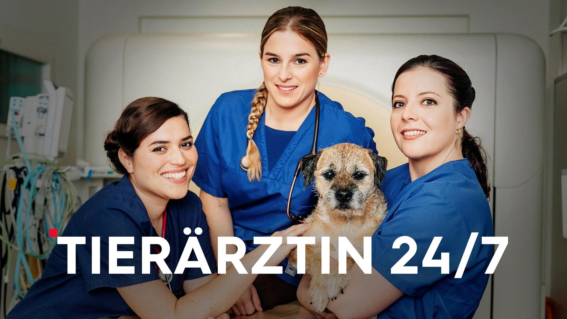 Tierärztin 24/7  Sendetypical 2400x1350 16zu9