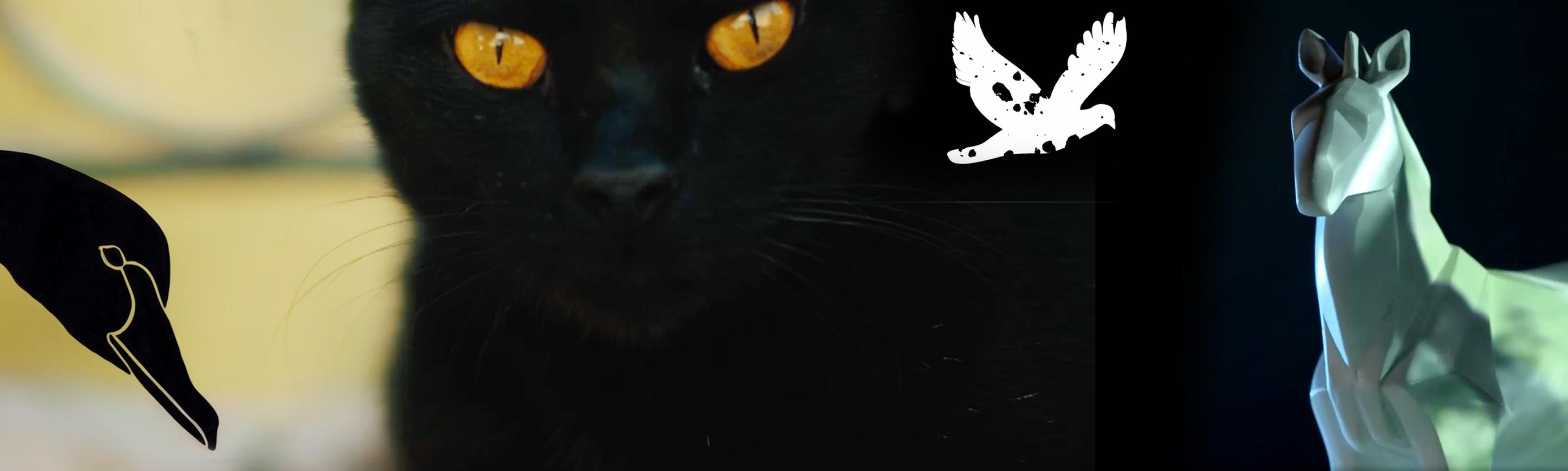 Hintergrund Sendebereich TierART