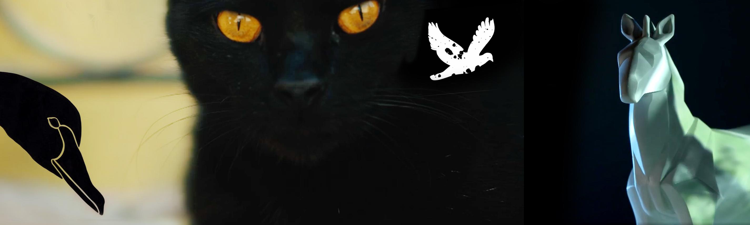 Hintergrund Sendebereich TierART
