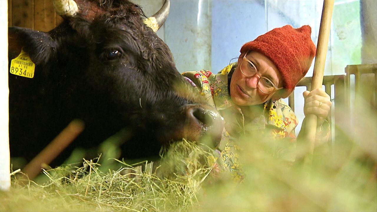 Das Bild zeigt eine Frau, die sich in einem Stall um ein schwarzes Rind kümmert. Die Frau trägt eine orangefarbene Mütze und hat eine bunte, floral gemusterte Jacke an. Sie schaut freundlich auf das Tier, während sie mit einem langen Besen oder einer Schaufel in der Hand beschäftigt ist. Im Hintergrund sind Stroh oder Heu und einige Stallwände zu sehen, die die ländliche Umgebung des Bauernhofs verdeutlichen. Das Licht im Stall ist weich und bringt eine ruhige Atmosphäre. Das Rind hat eine Ohrmarke, die zur Identifizierung dient.